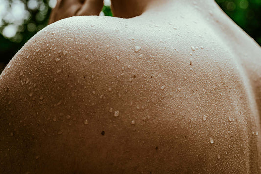Sauna Care Practices: Maintenance for Longevity