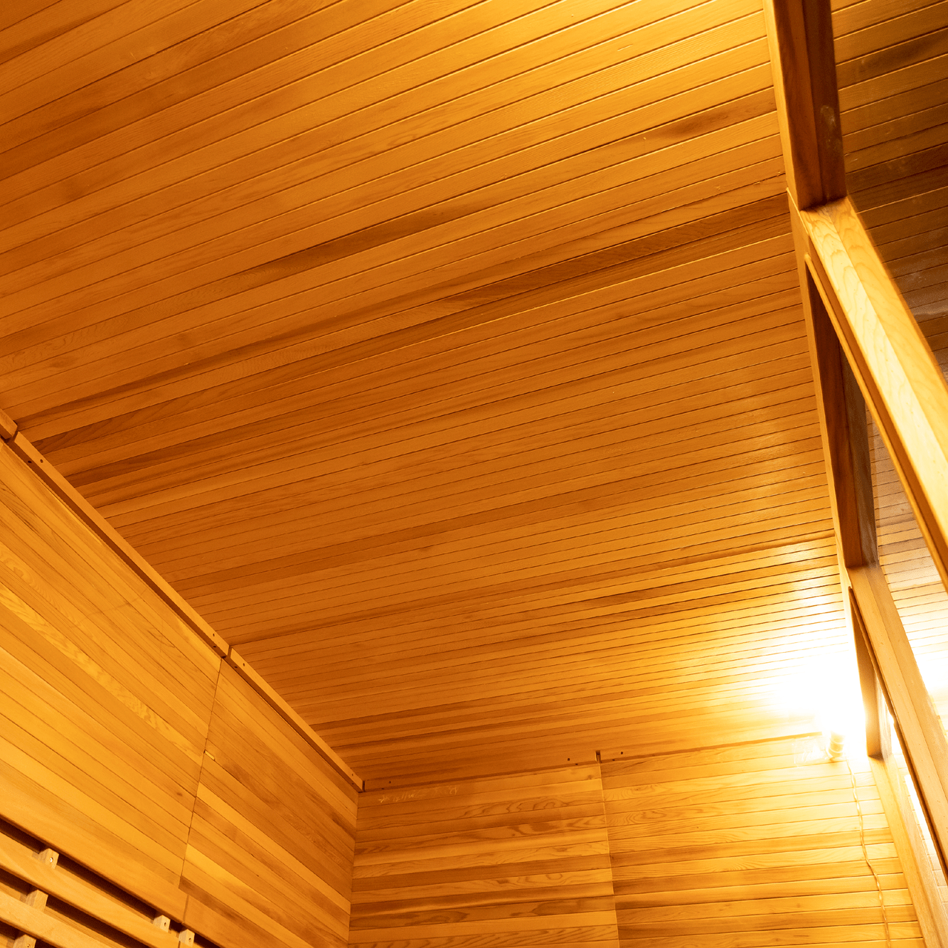 Dual Bench Modern Box Outdoor Sauna