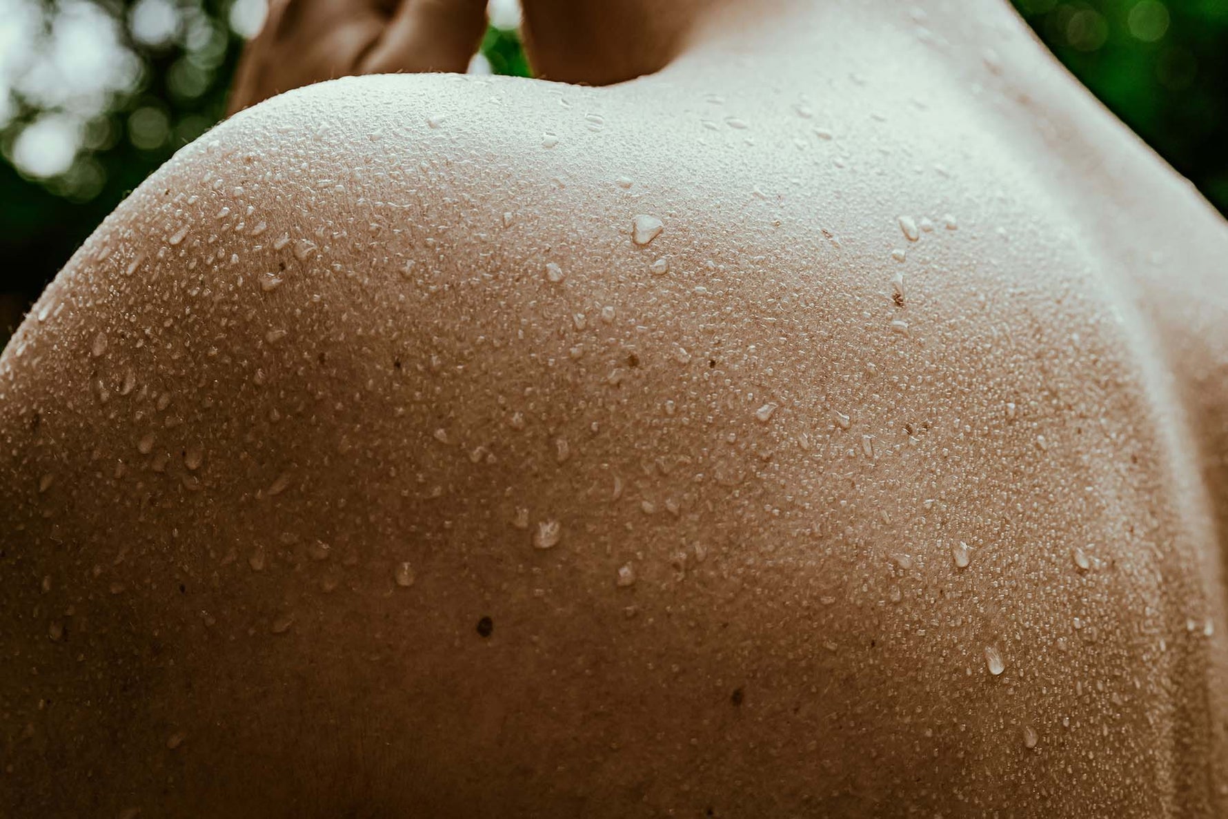 Sauna Care Practices: Maintenance for Longevity - Steam Saunas