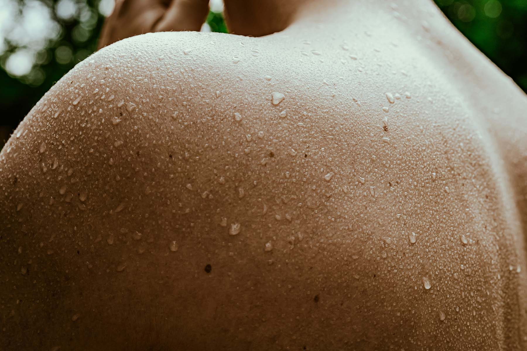 Sauna Care Practices: Maintenance for Longevity - Steam Saunas